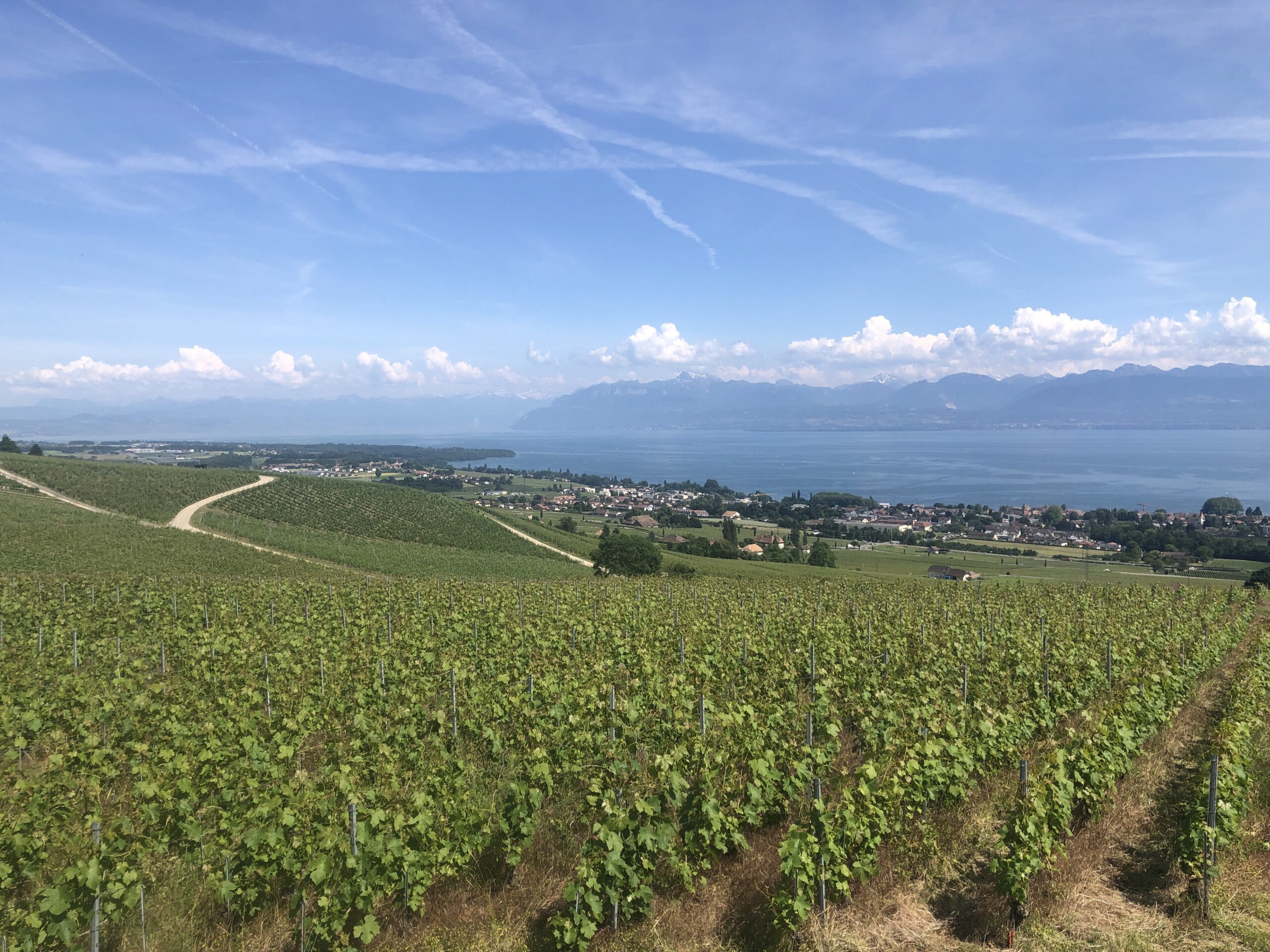 From Arnex to the Signal De Bougy and Back