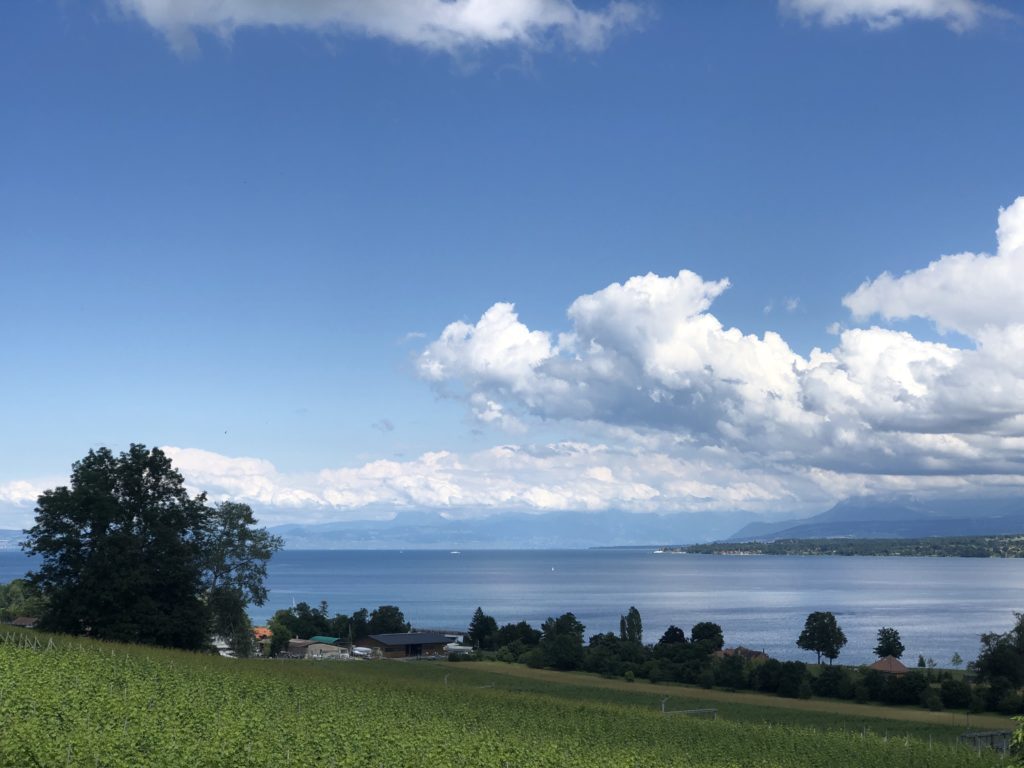 Looking from Crans towards Lausanne etc.