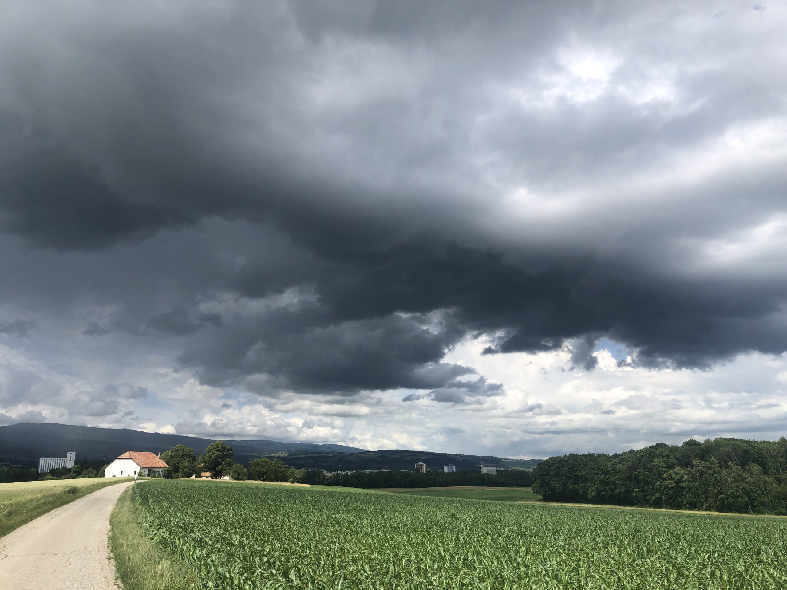 A Walk Under Storm Clouds