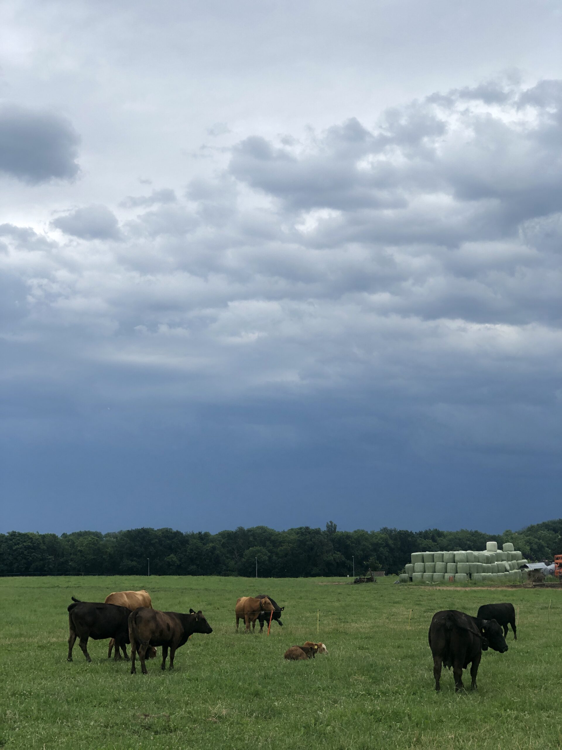 A Walk Between Moments of Rainfall