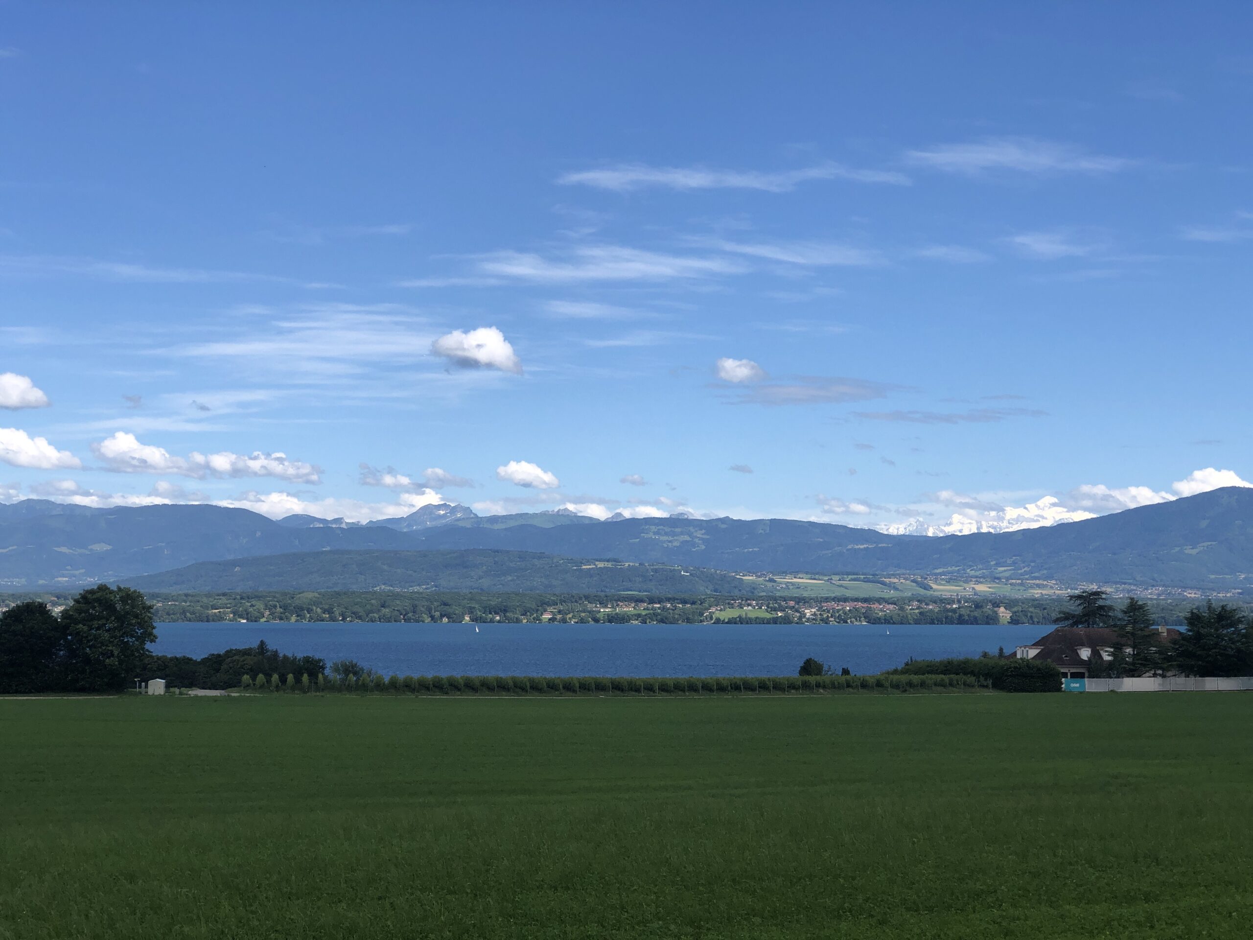 A View of The Lake Léman and the Mont Blanc