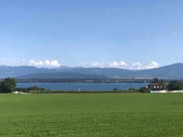 A Walk To The Chateau De Bossey