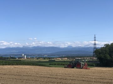 Farming In Switzerland