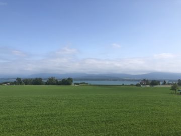 View of the Léman and Alps