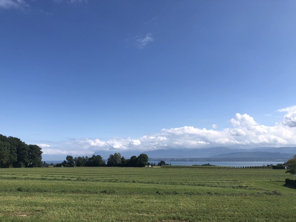 View of the Alps