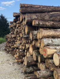 A pile of logs waiting to be transported by train