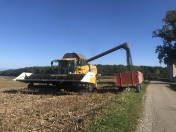 A combine harvester unloading Sunflower seeds