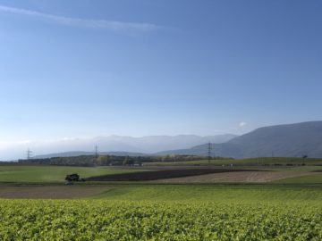 A tractor and a combine harvester