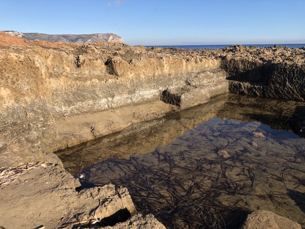 Roman Fish salting bath