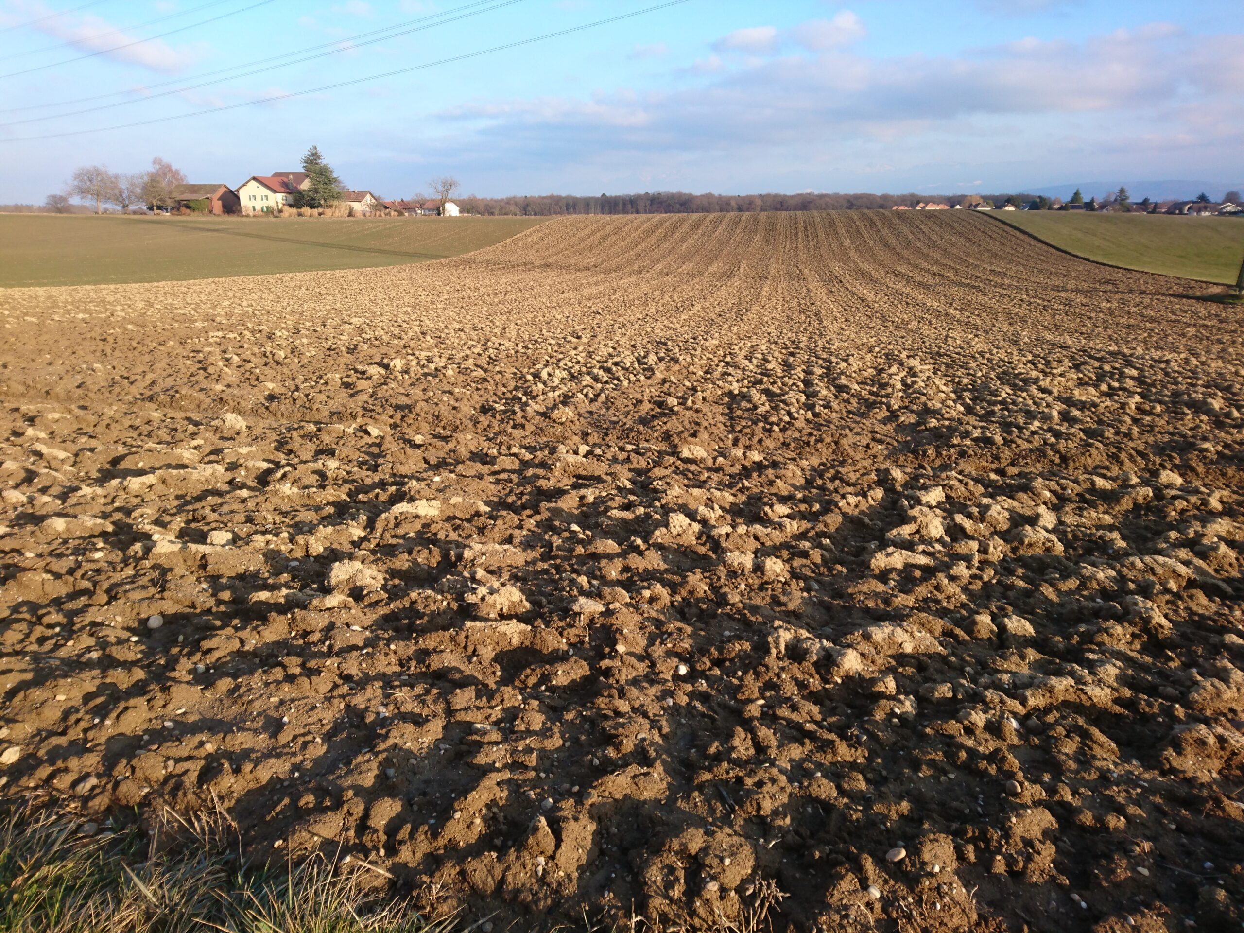 A plowed field in the evening