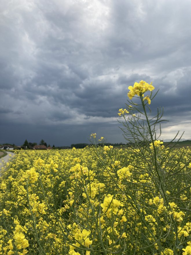 Stormy Skies Near Nyon