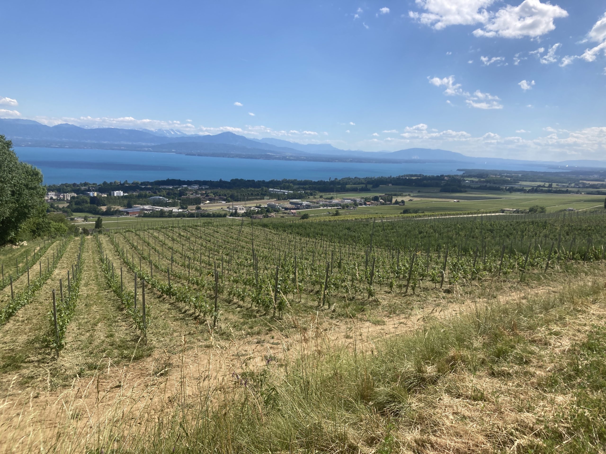 Cycling From Nyon To the Signal De Bougy and Back