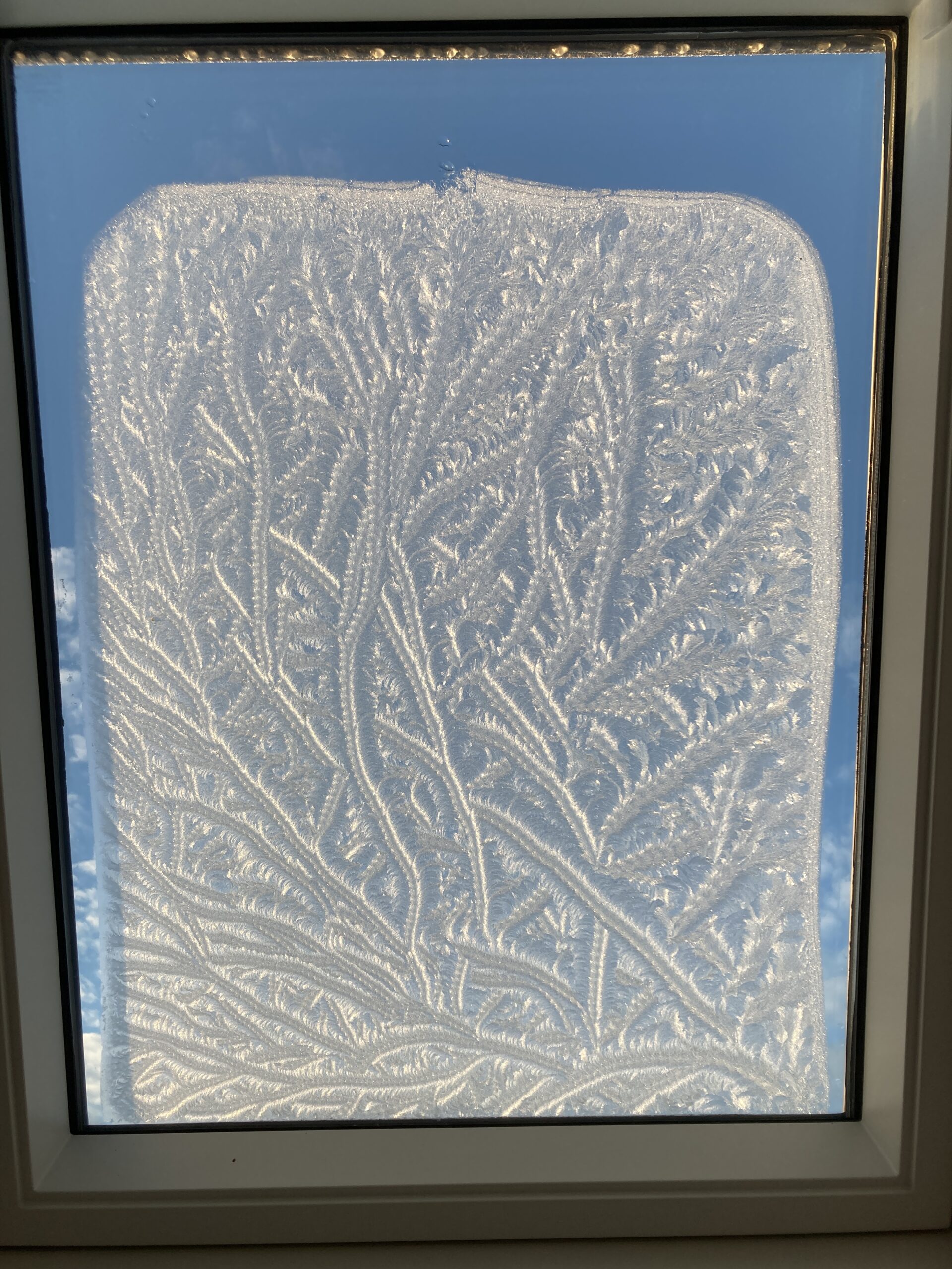 Frost on a velux shaped as fractals