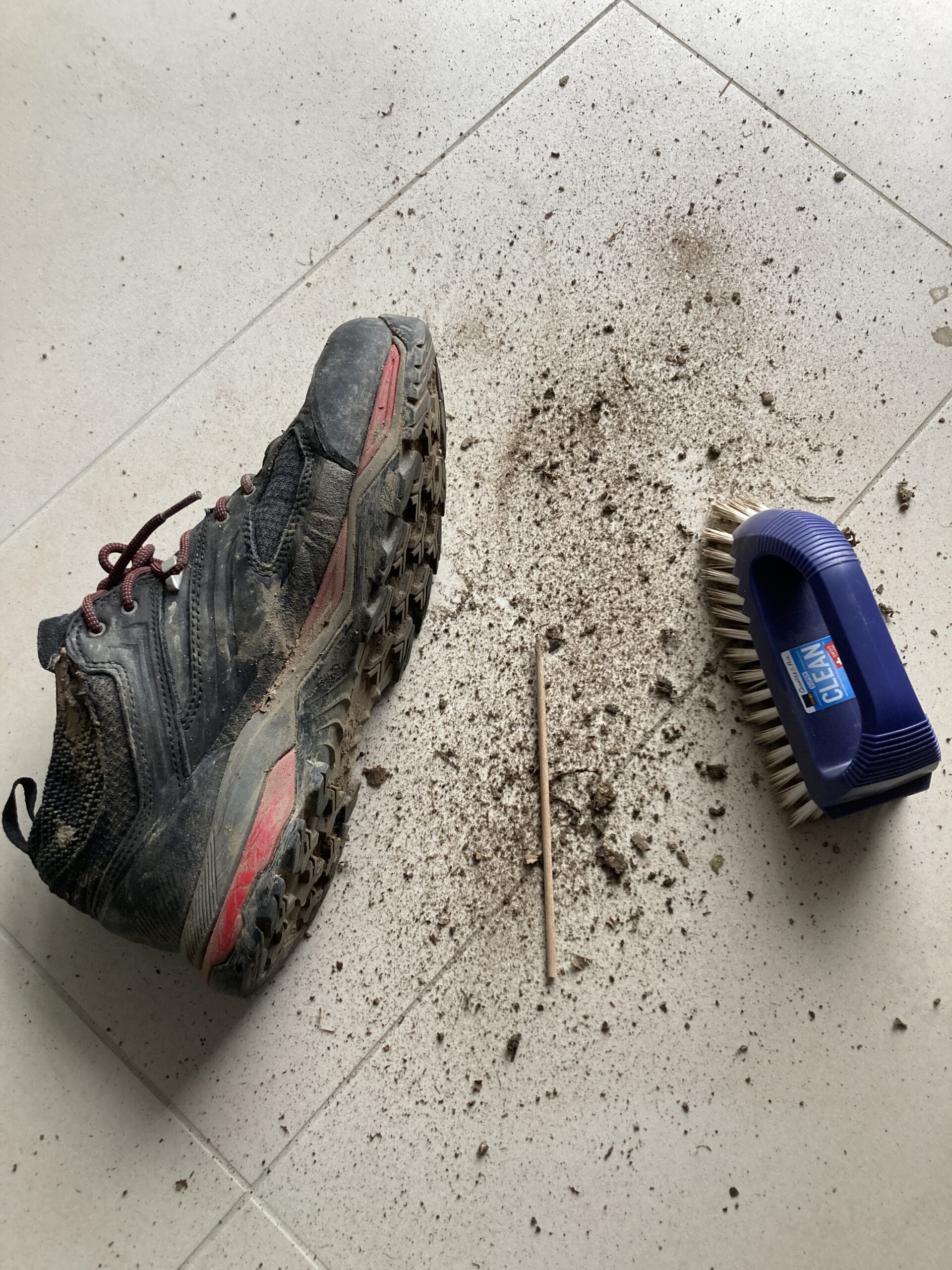 Brushing Shoes and Mindfulness