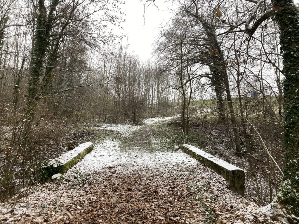 A snow and leaf covered bridge in Autumn