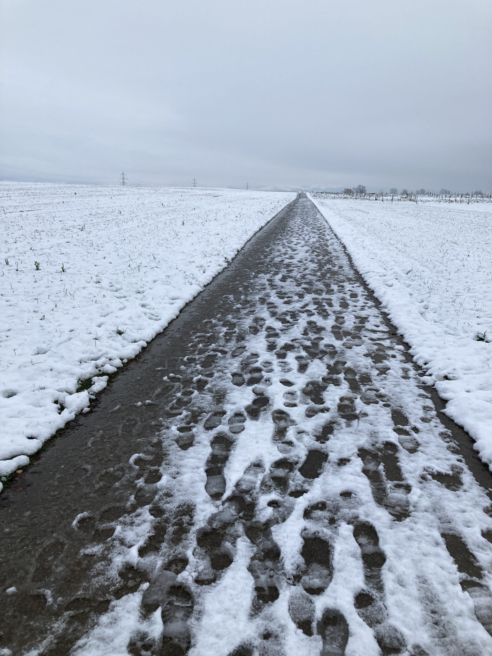 A snow covered path with footprints, between two fields