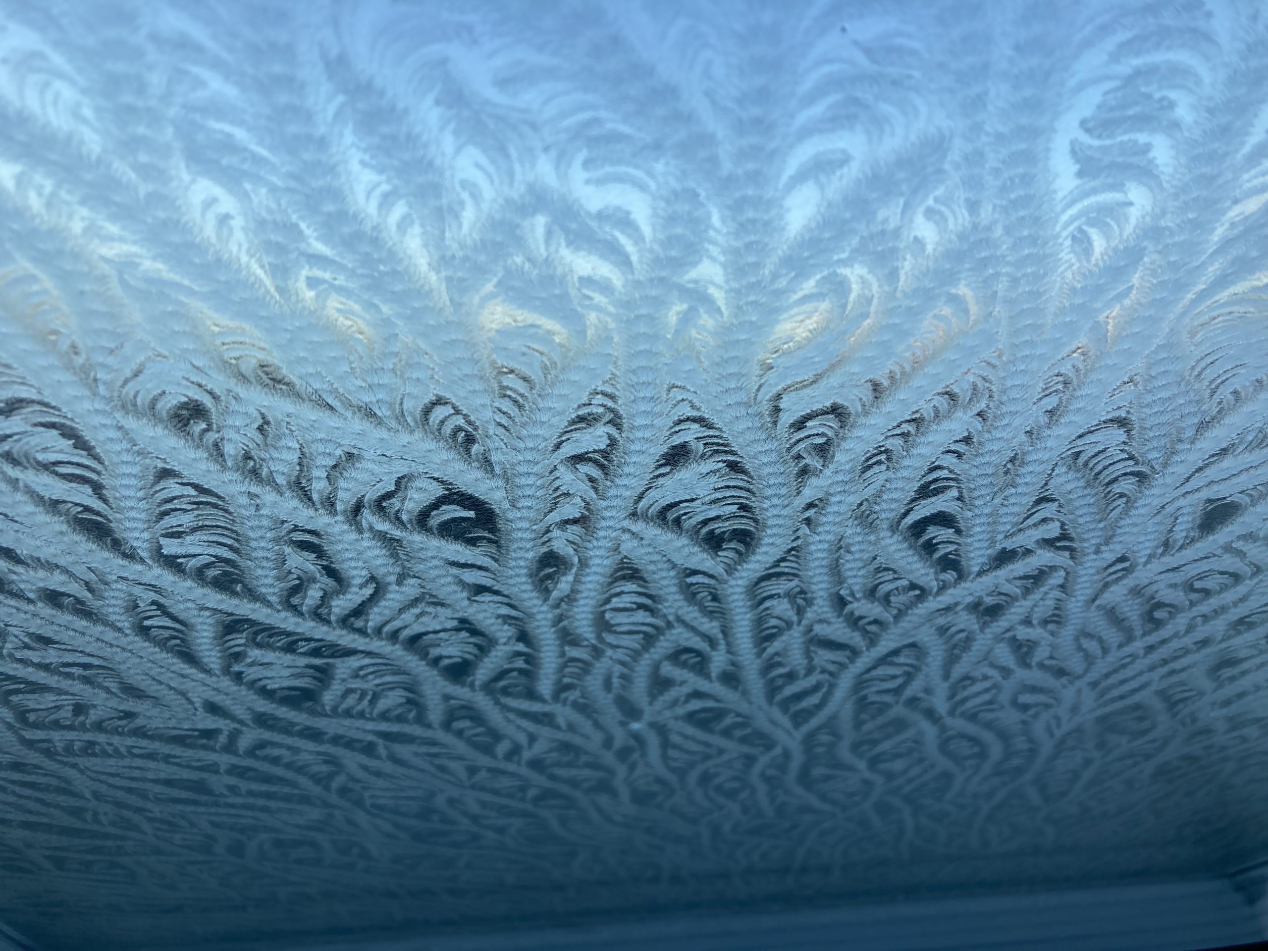 Frost fractals on a velux