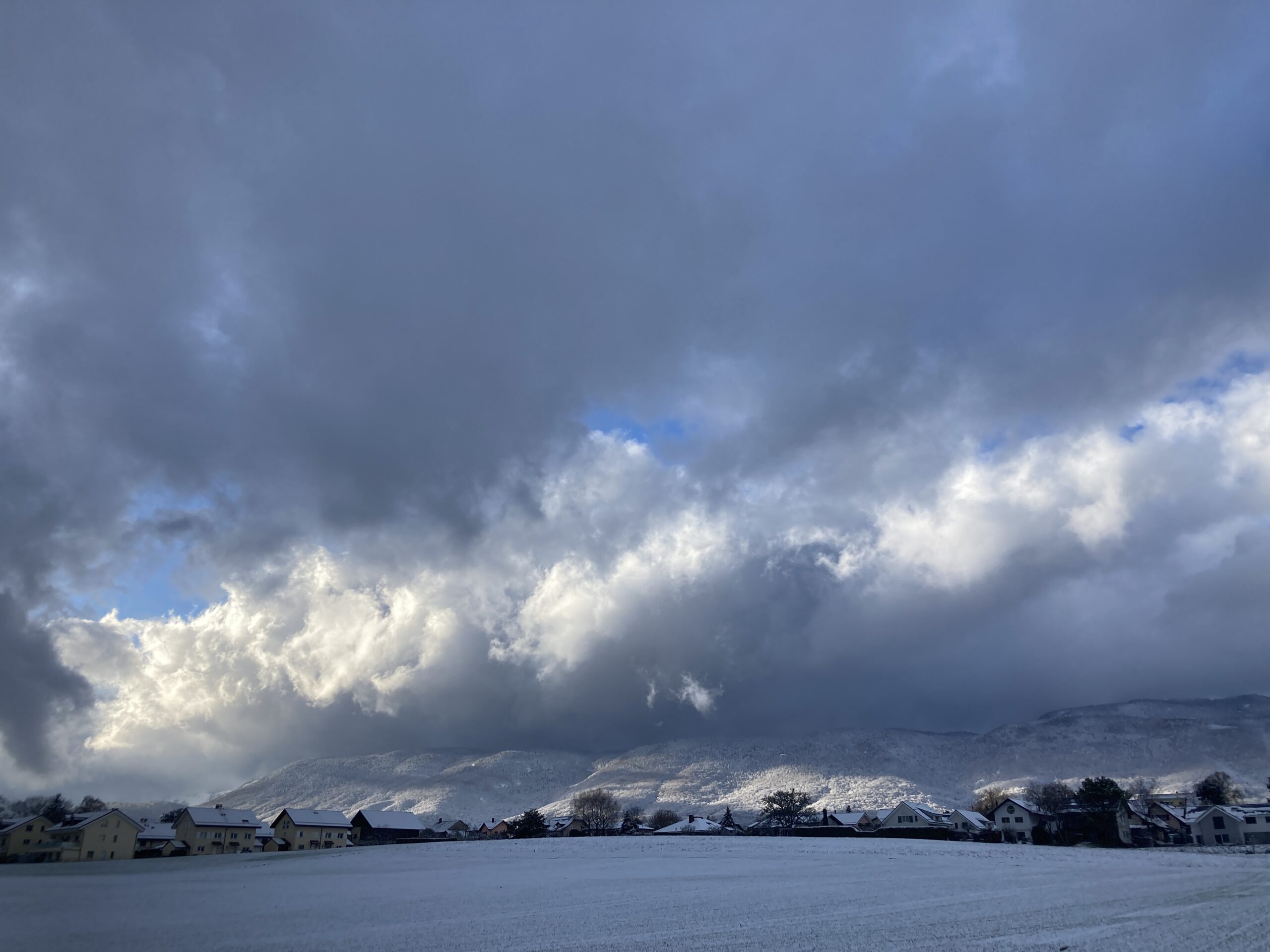 A Snowy Day