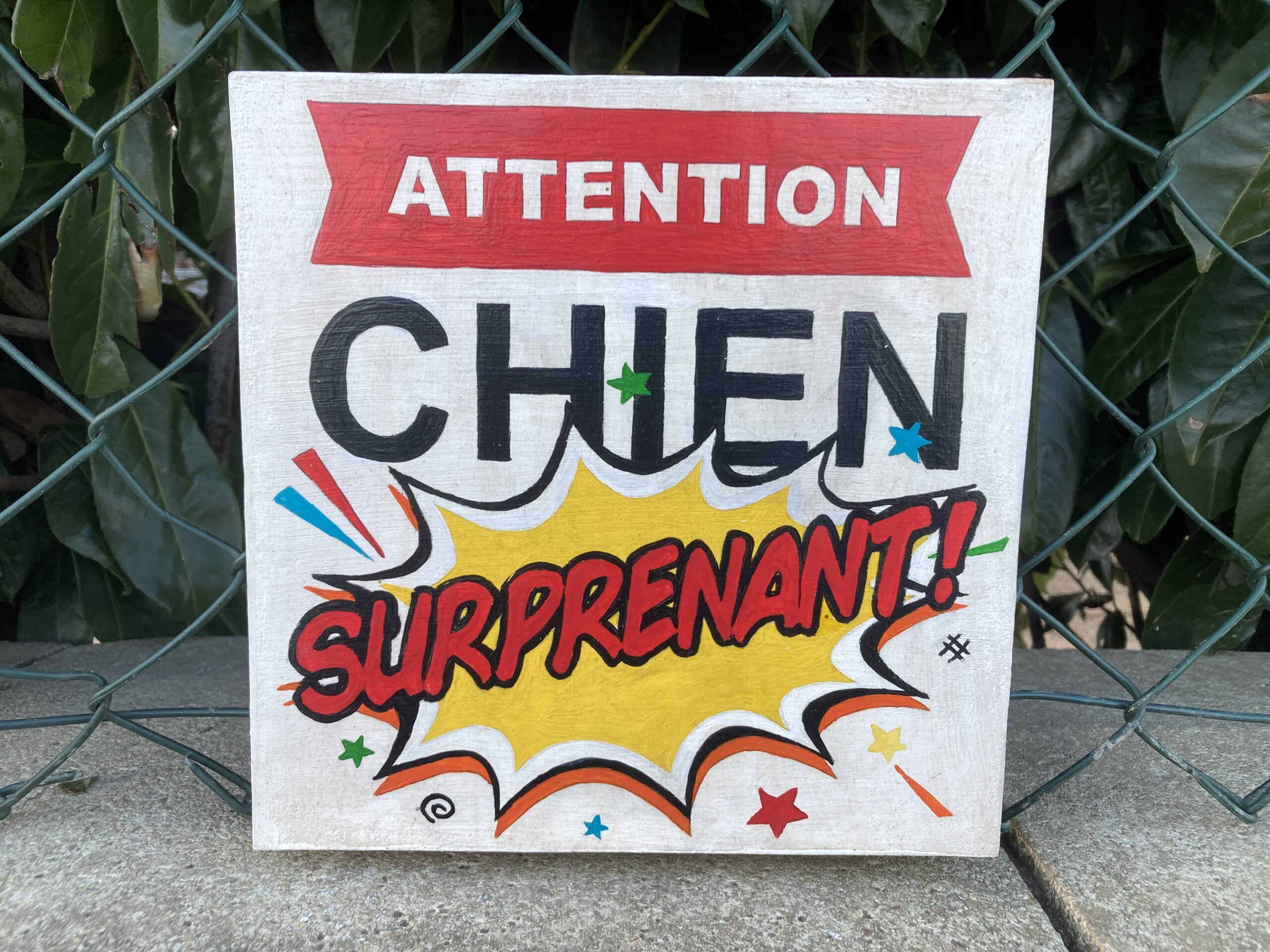 Attention Chien Surprenant Warning, surprising dog