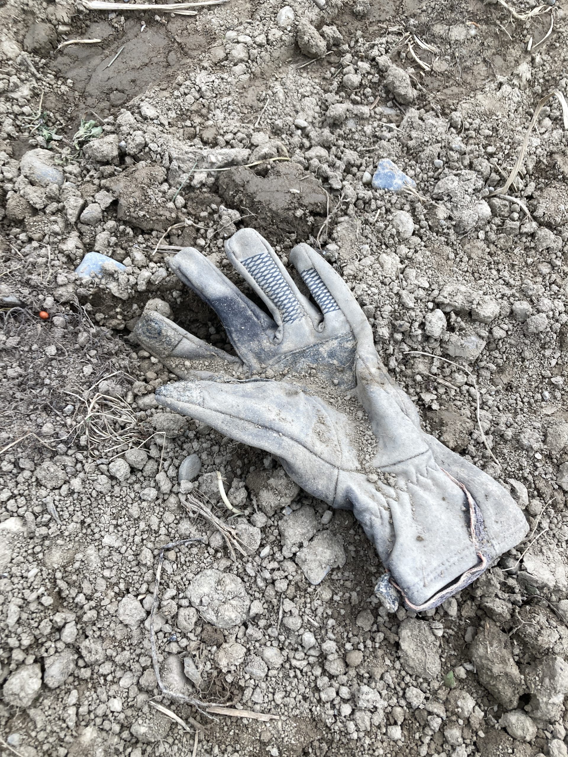 A glove in a field