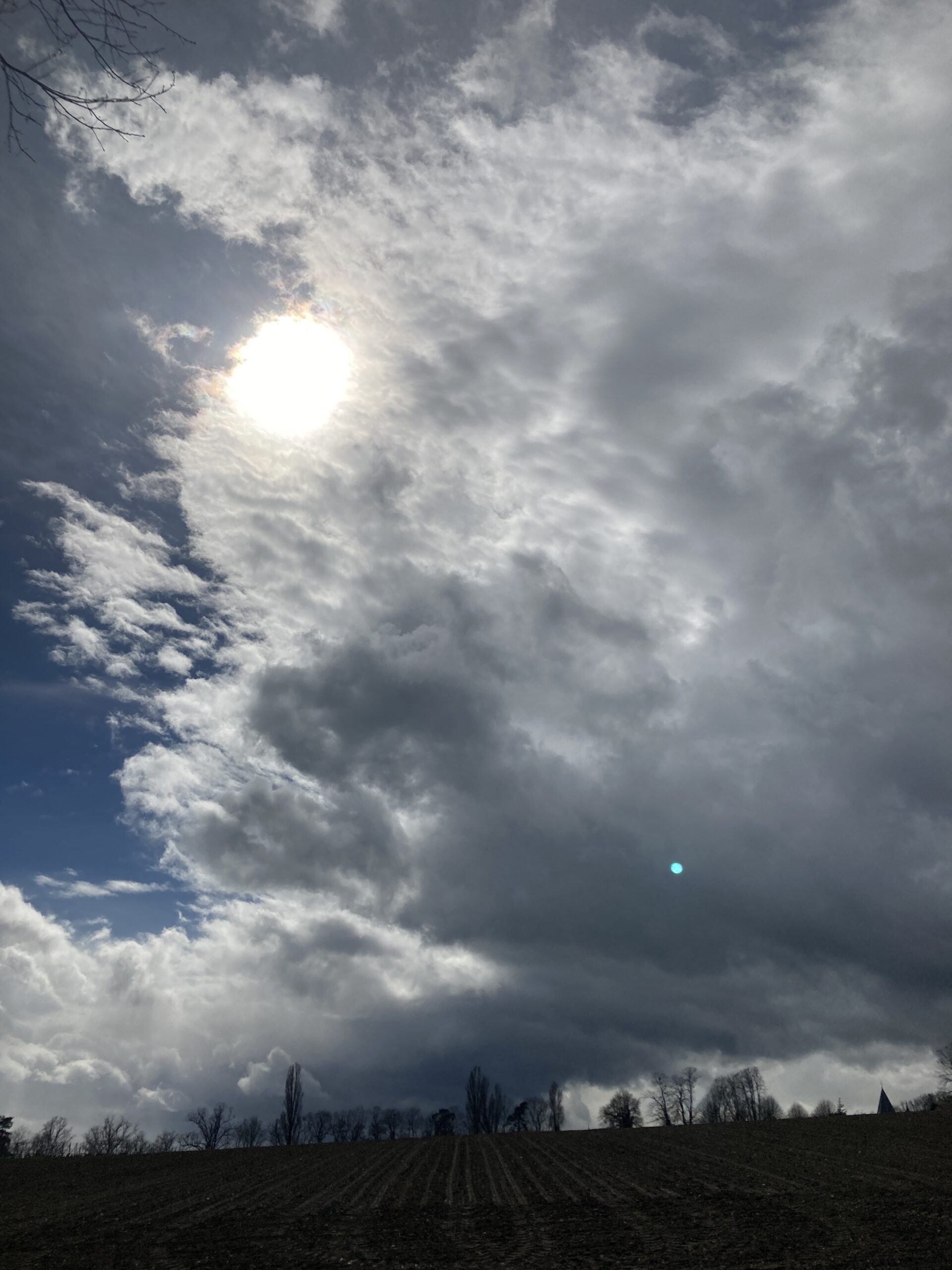 Clouds and trees