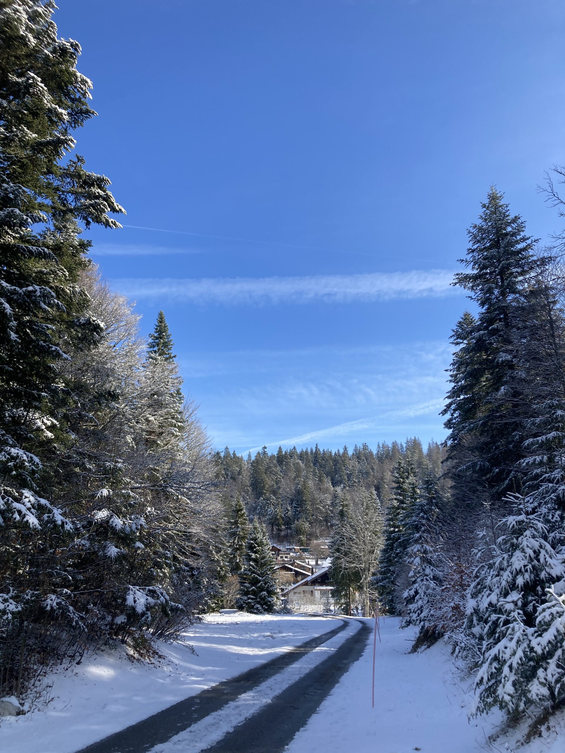 A Walk at the Snow Line