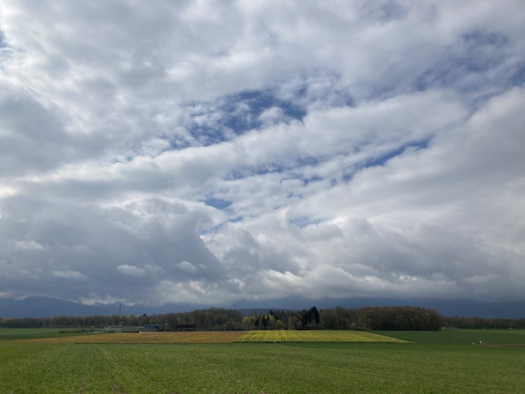 View of the Jura and fields