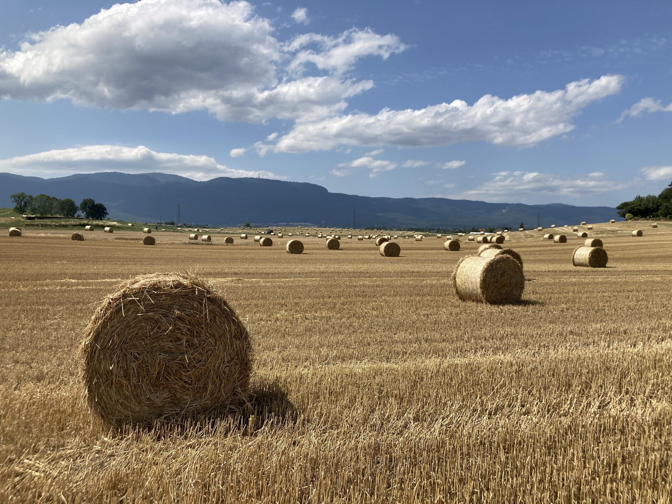 iOS and Environmentalism