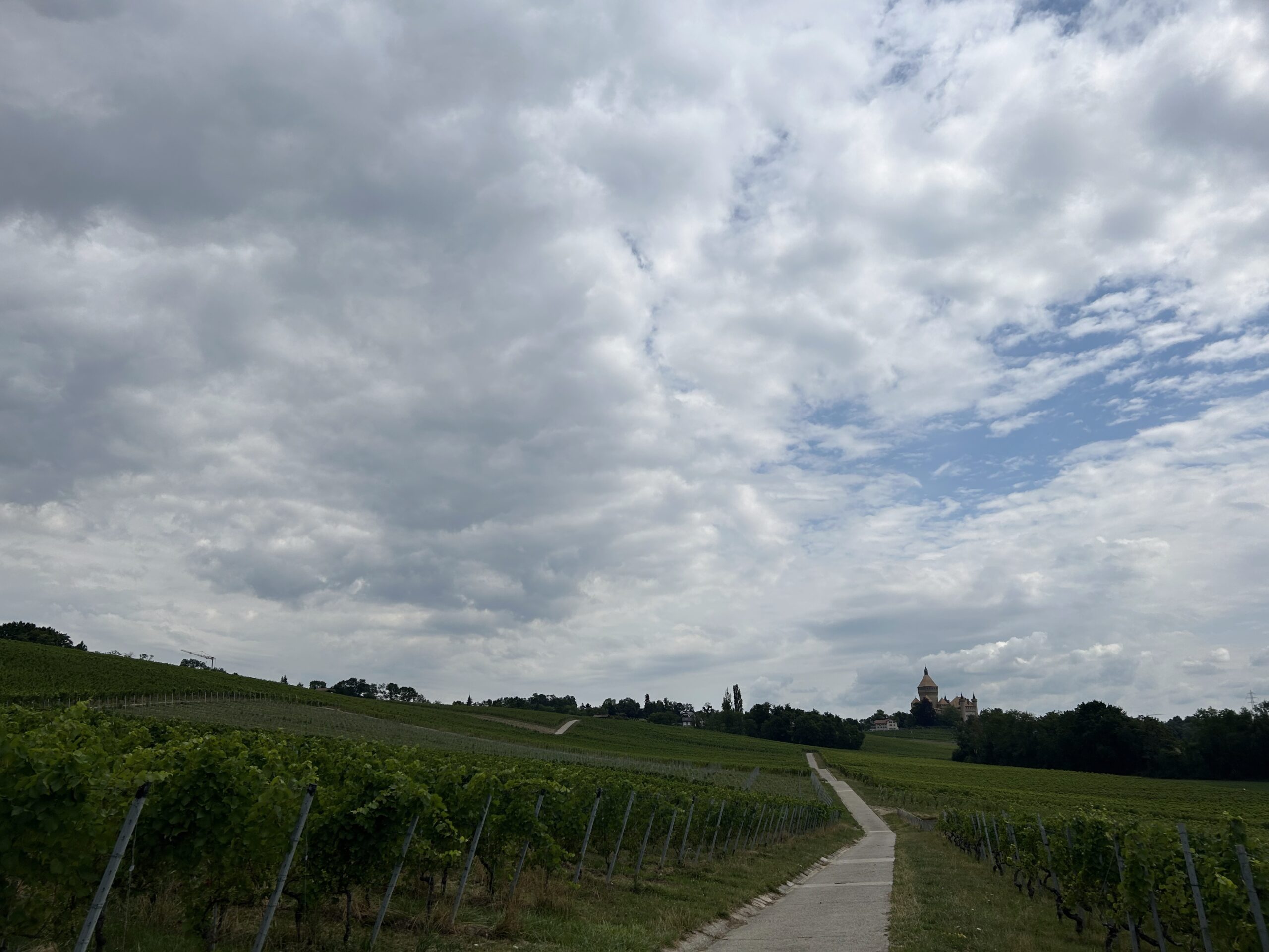 A view of Vufflens le Chateau and the vineyards, after the steep climb