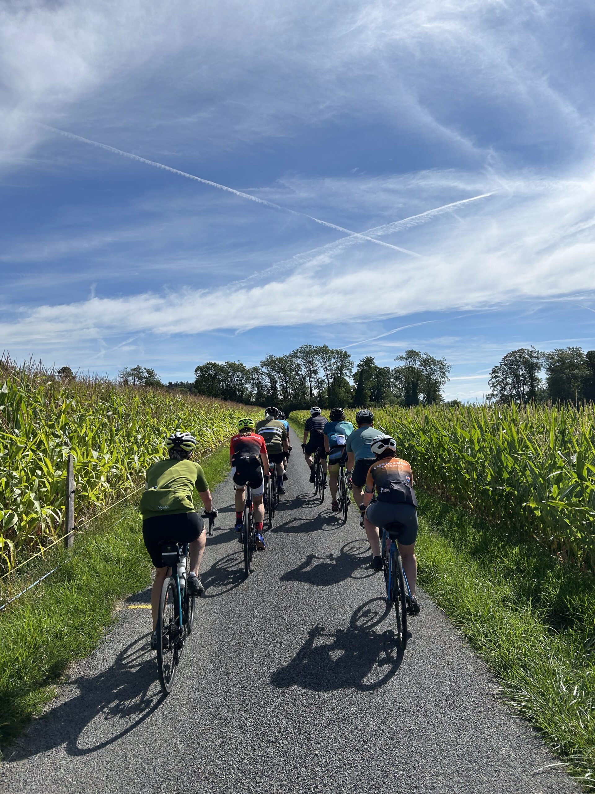 On Riding a Freshly Serviced Bike