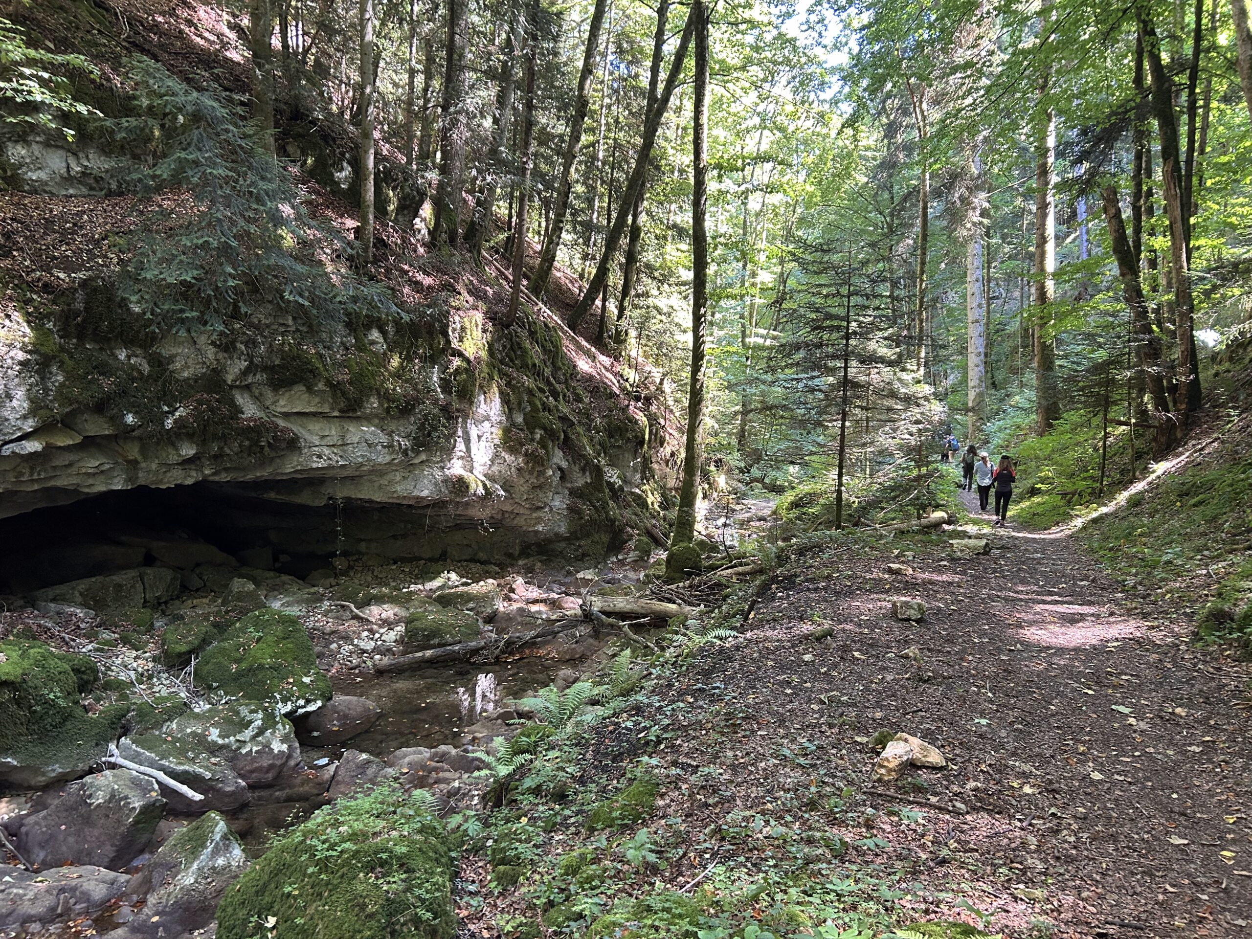 A Weekend of Hiking and Cycling in the Jura