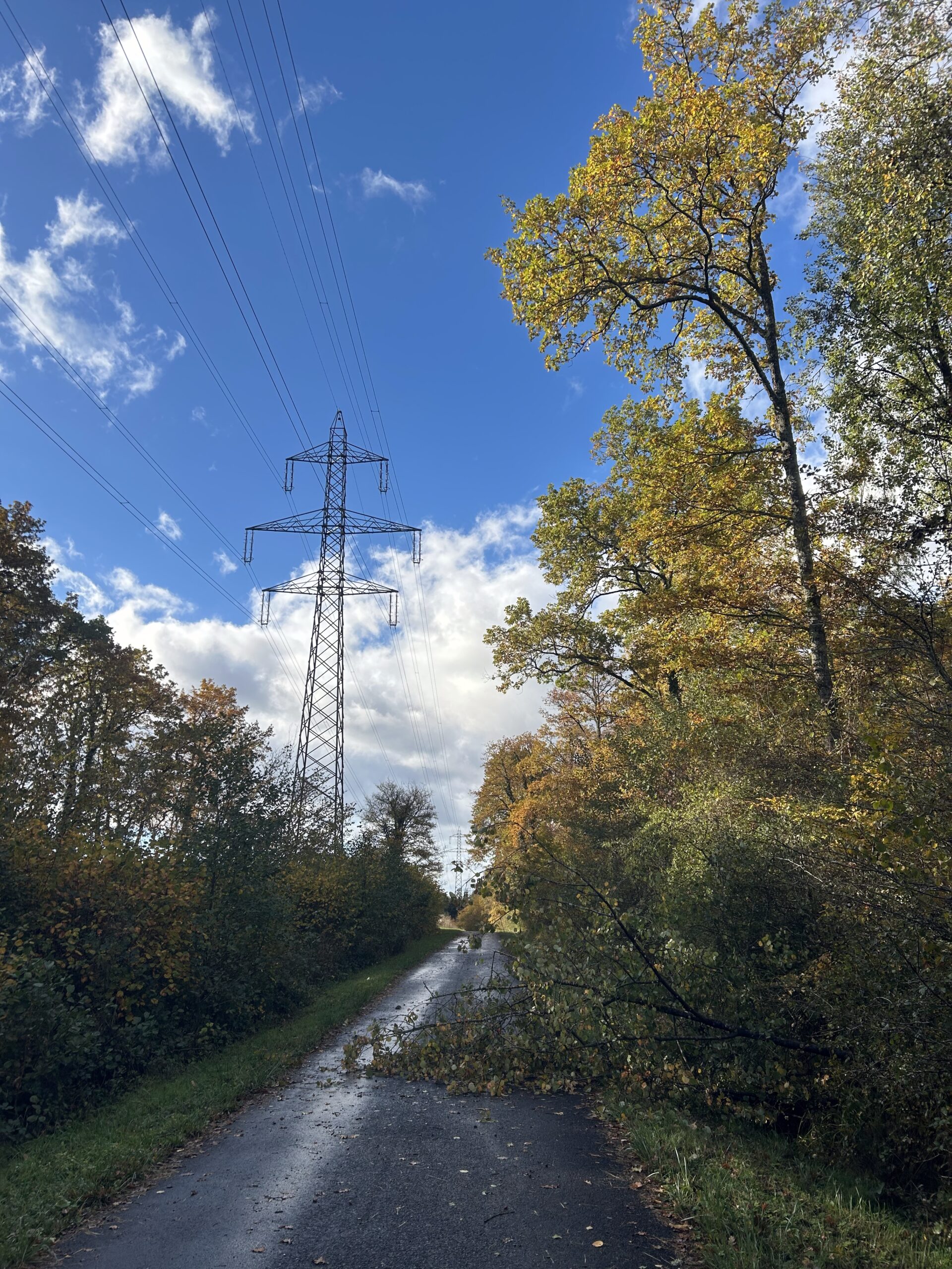 Cycling to the Airport and Ice Skating