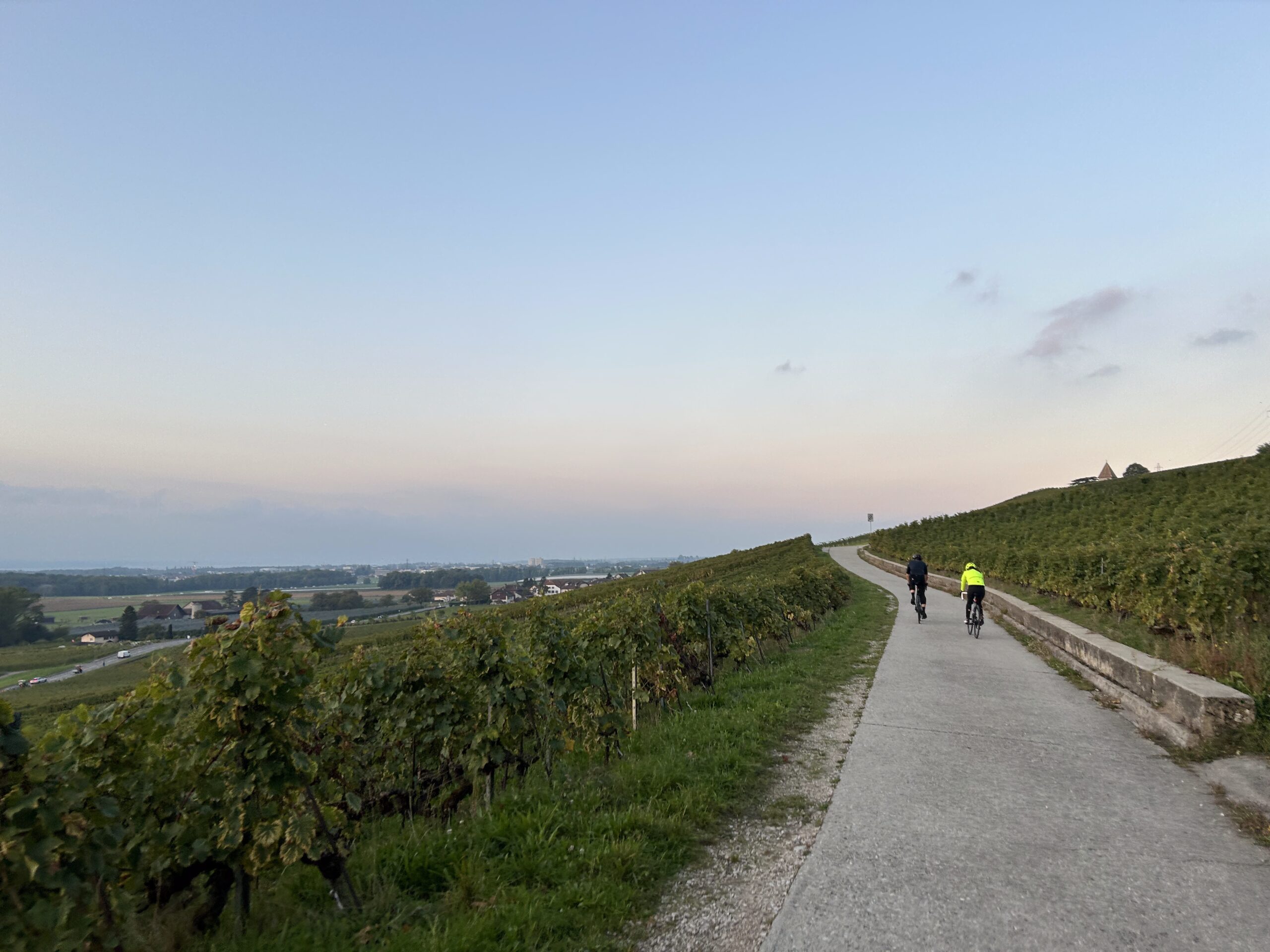 Two cyclists in the vineyards above Nyon