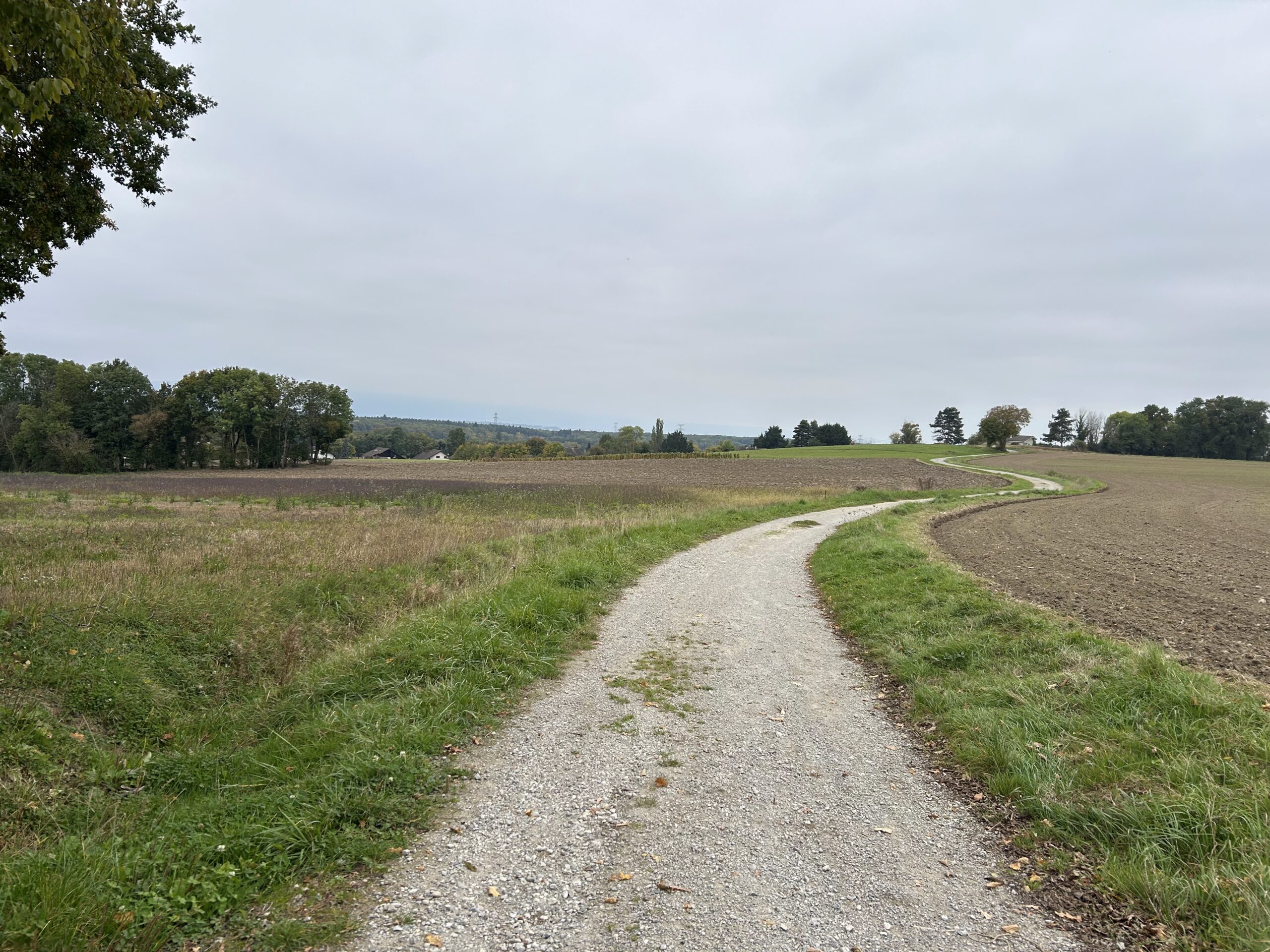 The Cycle route between Grilly and Sauvergny