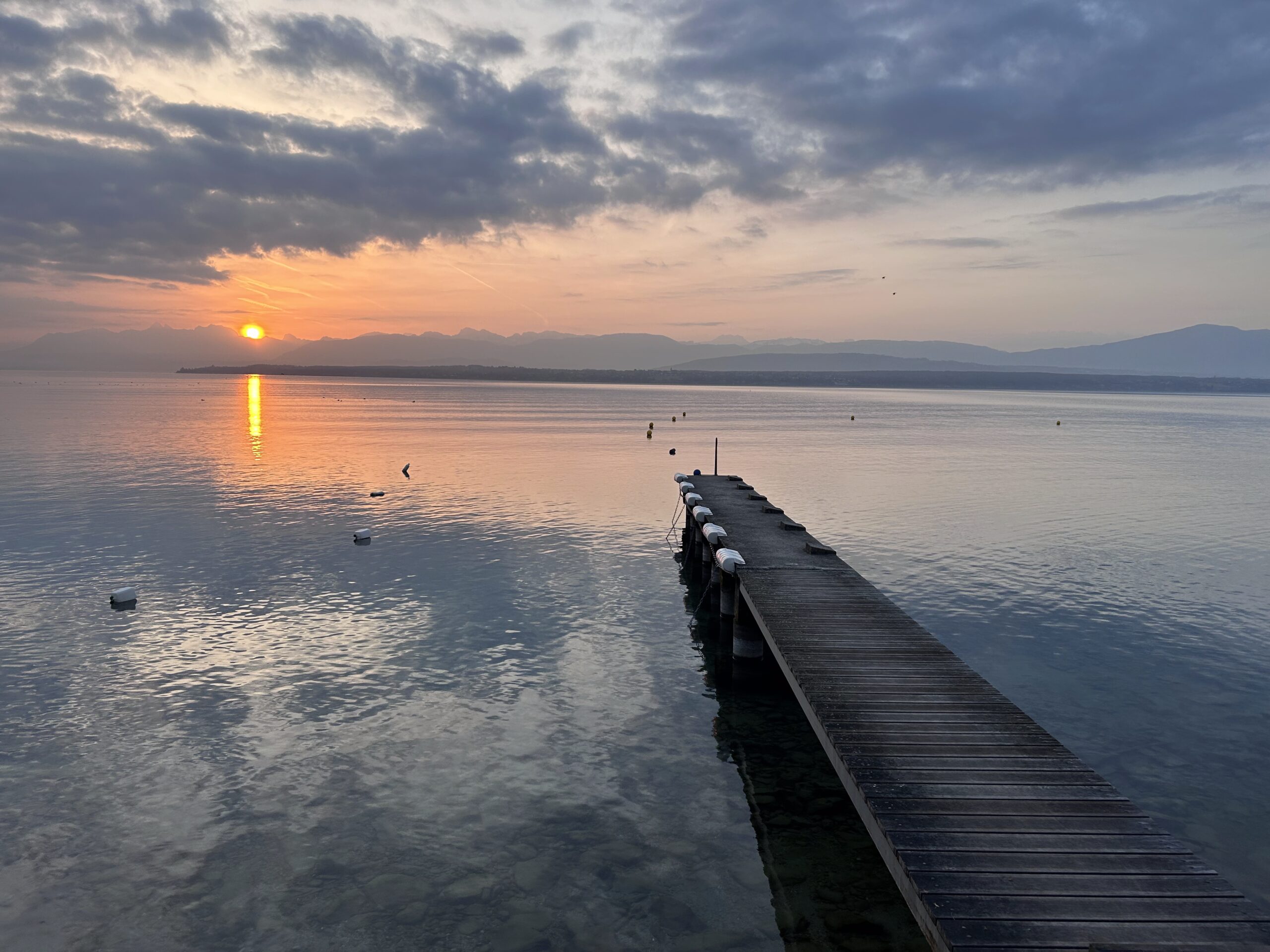 Of Seesmic, TikTok and Qik