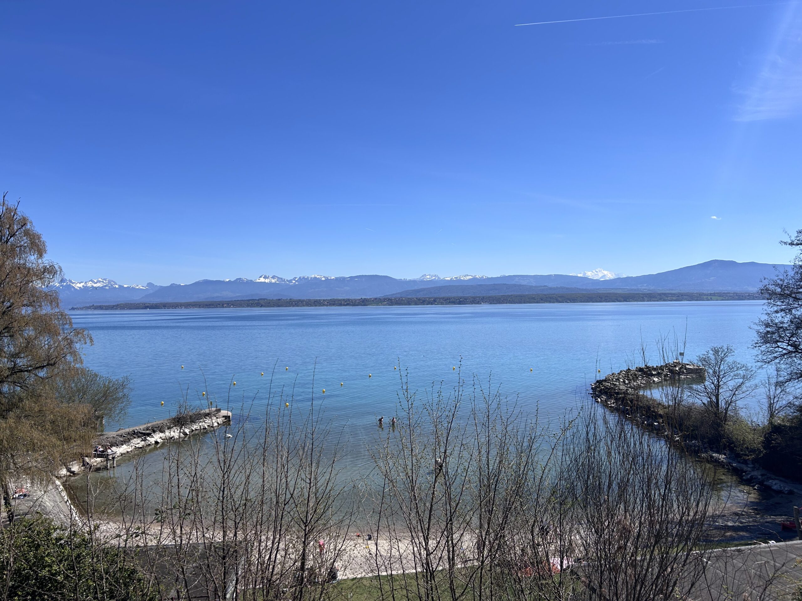 Using Photoprism and Immich in Tandem Across Three Machines