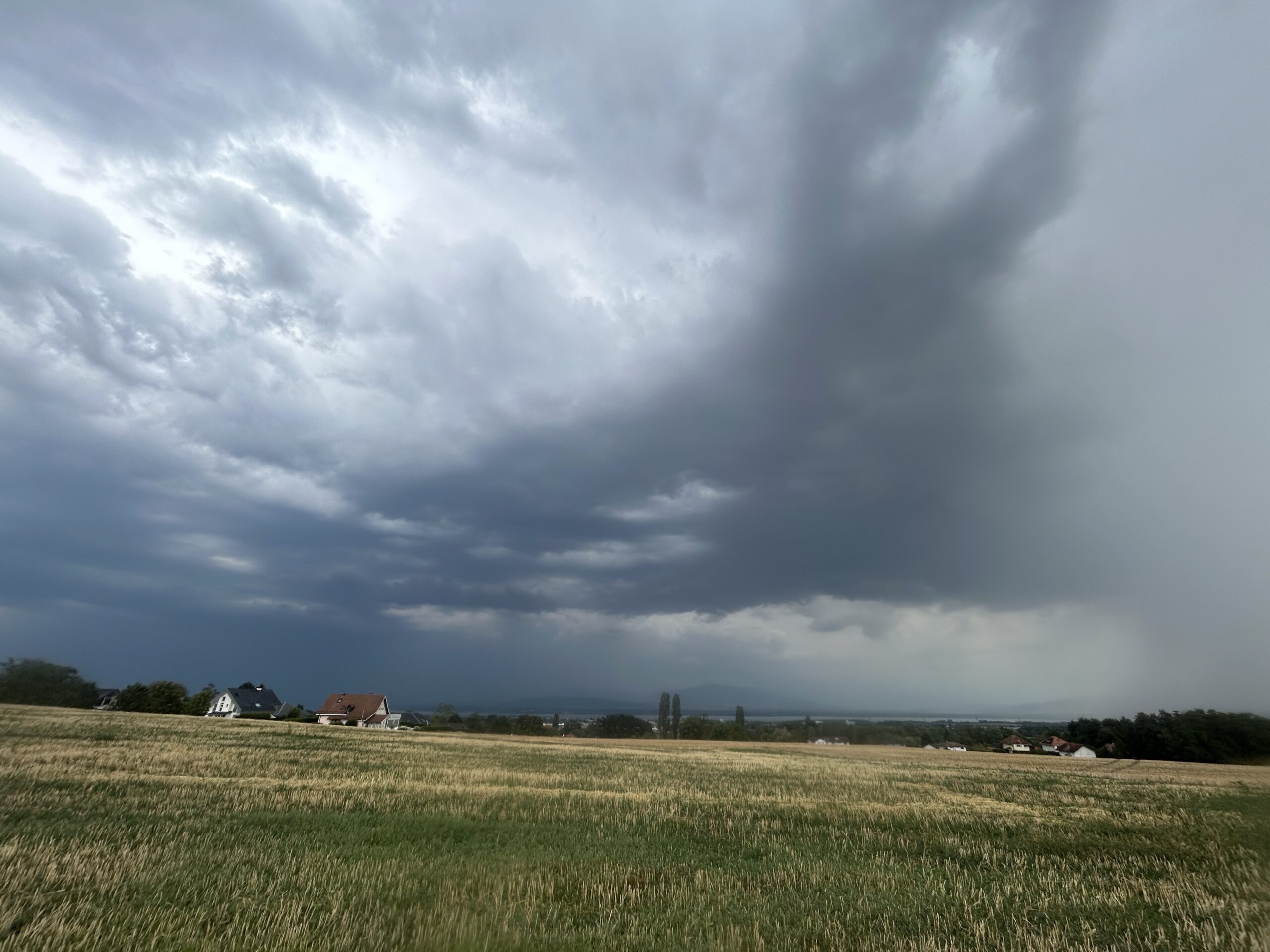 The Irrational Decision to Ride in a Storm