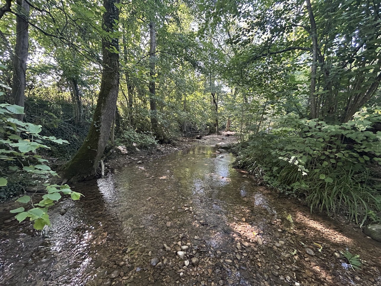 Watching Rivers Dry Up