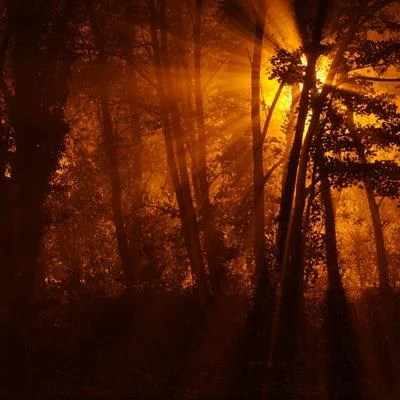 The obvious and hidden